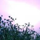 삼주1공인중개사사무소 이미지