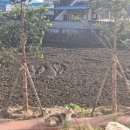 스테이 다다르다 | 정갈한 리조트같은 대전근교카페 스테이인터뷰 의당