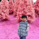 허브세상 | 아기랑 포천 허브아일랜드 다녀온 후기 | 핑크 모래 포토존까지