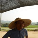 죽안 이미지
