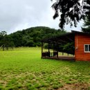 계룡산유아숲체험원 이미지