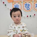 충경의원 네이버블로그