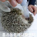 홈즈 동물병원 이미지