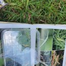 미림어린이집 이미지