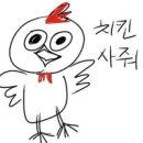 치킨극장 이미지