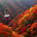 내장산문화광장 | 2025 내장산단풍 절정시기 &amp; 케이블카·우화정 완벽가이드 (2024 후기 포함)