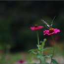 산현초등학교 이미지