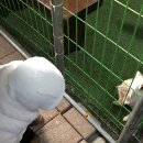 소중농장 | 광명 강씨네 농장 후기｜아기 동반•가족 모임 식당