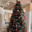 세종시보건소 | 세종시 보건소 산모교실 대만족 후기 및 신청방법