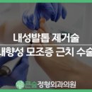 큰숲정형외과의원 이미지