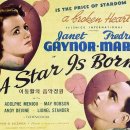 스타 탄생 A Star is Born, 1937년작, 111분, 12세 관람가, 윌리엄 A. 웰먼 감독, 자넷 게이너, 프레드릭 마치 이미지