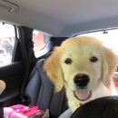 놀다가개유치원 이미지