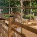 더울때 아이와 갈만한곳 파주 퍼스트가든