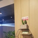 하가실내골프연습장 이미지