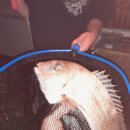 파도실내바다낚시터 이미지