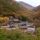 흥국사