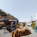 그집에 오리 이미지