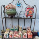 연화농장 이미지