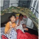 용인대영웅태권도장 이미지