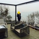 플펜션 네이버블로그