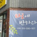 타로에 반하다 네이버블로그