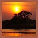 우리수퍼 이미지