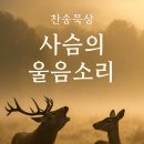 큐티 Daum카페