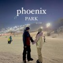 비에이치씨봉평휘닉스점 | 평창 휘닉스 파크 :: 스키+무료강습+블루캐니언 윈터스파까지 뽕뽑기⛷️
