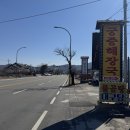 상안농장 | 속초 아침 맛집 해장국 추천