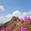 진달래약수터 이미지