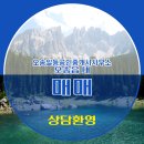 오송일등공인중개사사무소 이미지