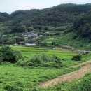 벌교태인 이미지