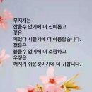 중앙동304 이미지