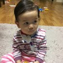 팔팔대리점 이미지