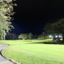 조명여행사 이미지