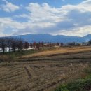 고리봉농장 이미지