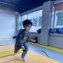 용인대 지노태권도 이미지