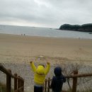 구름포오토캠핑장 이미지