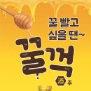 보해 이미지