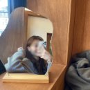 그해;그날사진관 | [대전/은행동] '그날의 사진관 대전점' 셀프사진관 후기