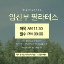 광산구-118 | [광주 운남동 필라테스] 시즈필라테스 : 임산부 필라테스로 출산 준비 시작! (*8월 임산부 그룹레슨...