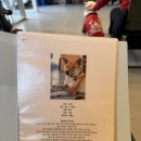 훈트(HUND) 이미지