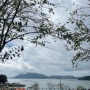 함박금스테이 - 1151 | 🌿 거제 함박금스테이 캠핑장 | 감성 힐링 오션뷰 캠핑 in 거제