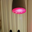 장아산로 이미지