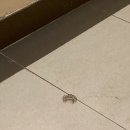 하이웨이세탁소 이미지