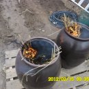 버드실샘 이미지