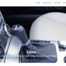 조광시트