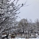 봉제산 책쉼터 이미지