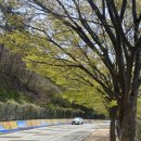 백수주유소 이미지