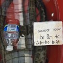 영남시장 | 부전시장 장어즙 구입 후기 :: 영남민물